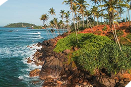 rocky beach scene